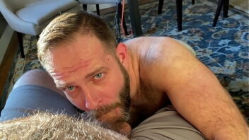 Daddy gay bears two