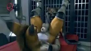 Raccoon rocket gay porn hq