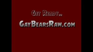 Sites de ursos gay
