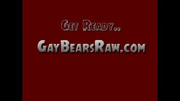 Sites de ursos gay