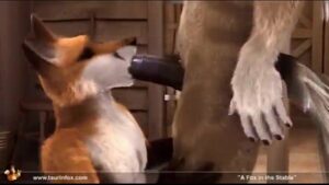 Furry fox porn gay sex
