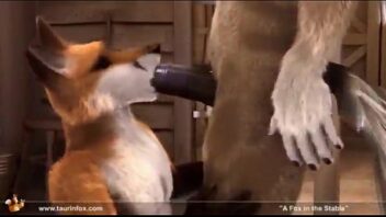 Furry fox porn gay sex