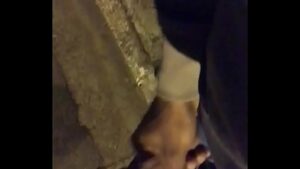 Gay afeminado sendo comido na rua video