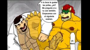 Mario gay andradina sp