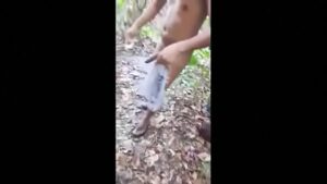 Orgia na selva brasil gay videos