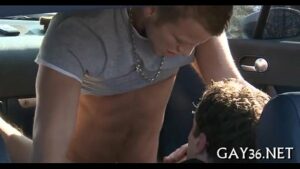 Video de gays se beijando no carro