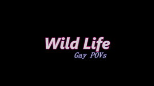 Gay furry porn game riding bonnie