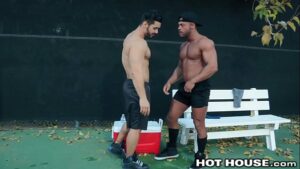 Gay sex hot muscle guy gif