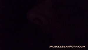 Porn gay muscle bear come novinho que ta gravando