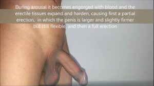 Fotos de penis 20 cm só o pênis