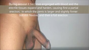 Fotos de penis 20 cm só o pênis