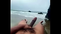 Esposa na praia de nudismo